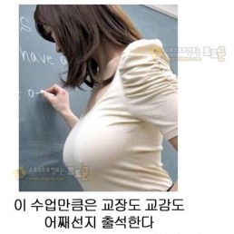 먹튀검증 토토군 포토 영어는 필수과목