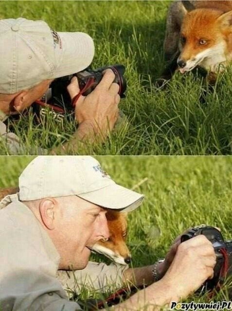 야생동물 사진 찍을때 조심해야하는 이유