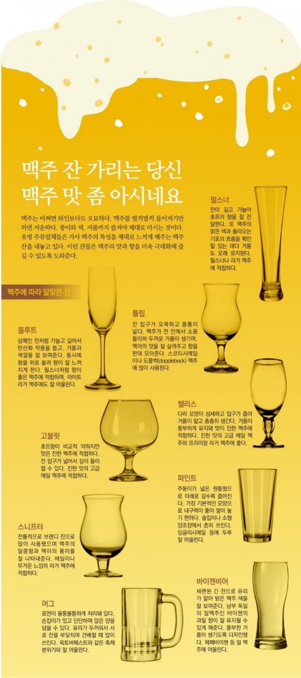 맥주잔 종류