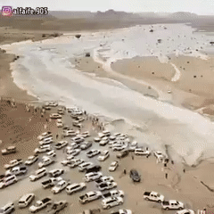 사막에서 홍수를 피해 달아나는 차
