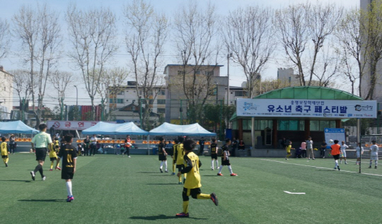 [먹튀검증소 뉴스] 홍명보어린이축구교실 유소년축구 페스티발 성료