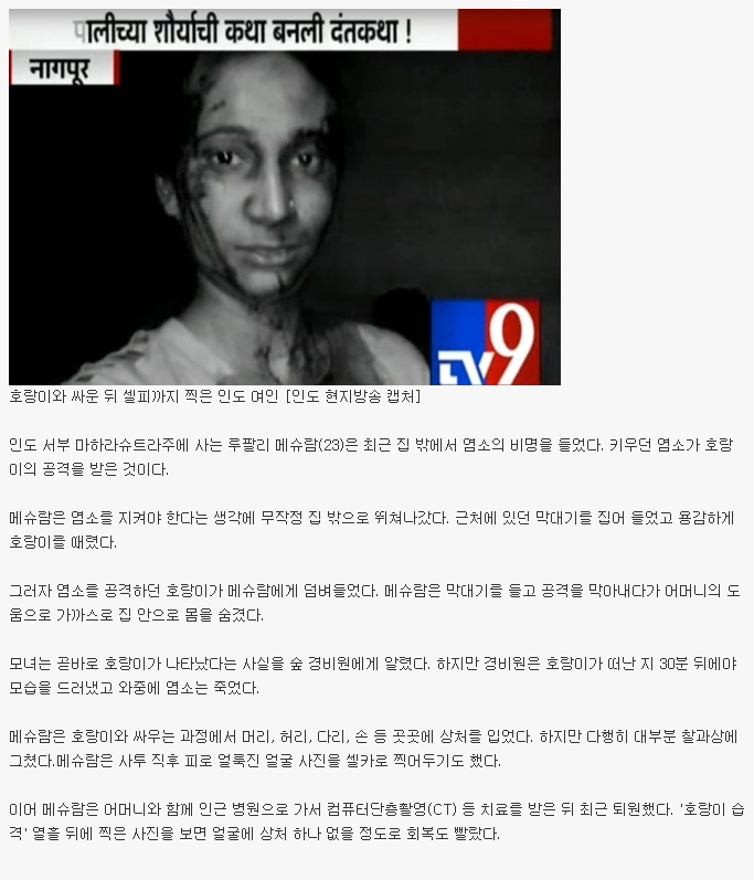 전사의 심장