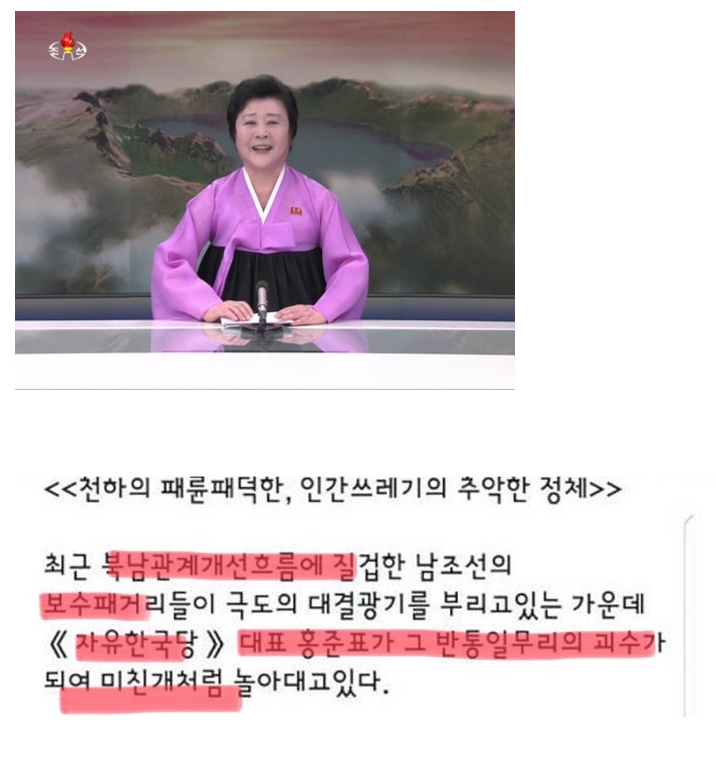 홍준표 명치때리시는 북한
