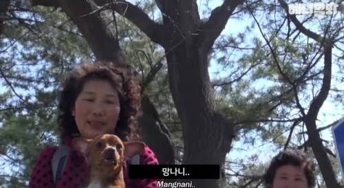 북한에서 만난 강아지