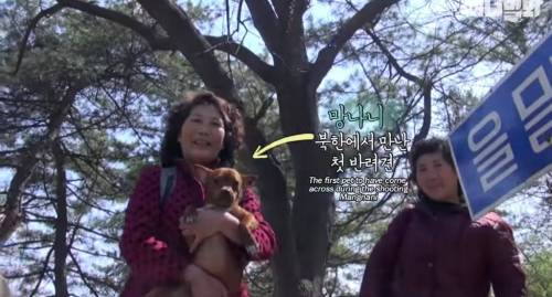 북한에서 만난 강아지