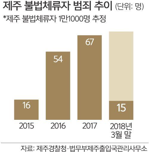 제주도 불체자 범죄추이