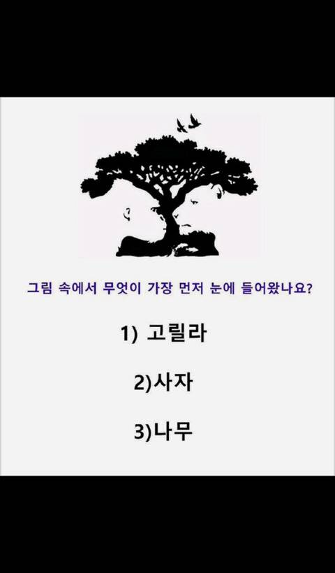 따분한 저녁 심리테스트 모음