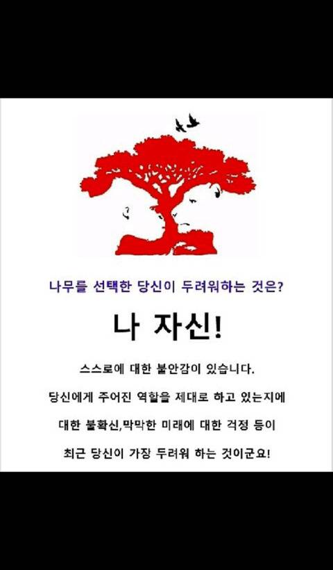 따분한 저녁 심리테스트 모음