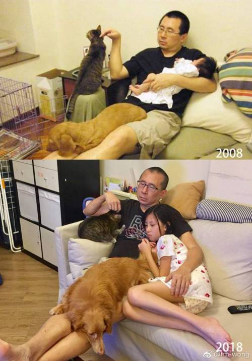 아빠와 딸과 강아지와 고양이