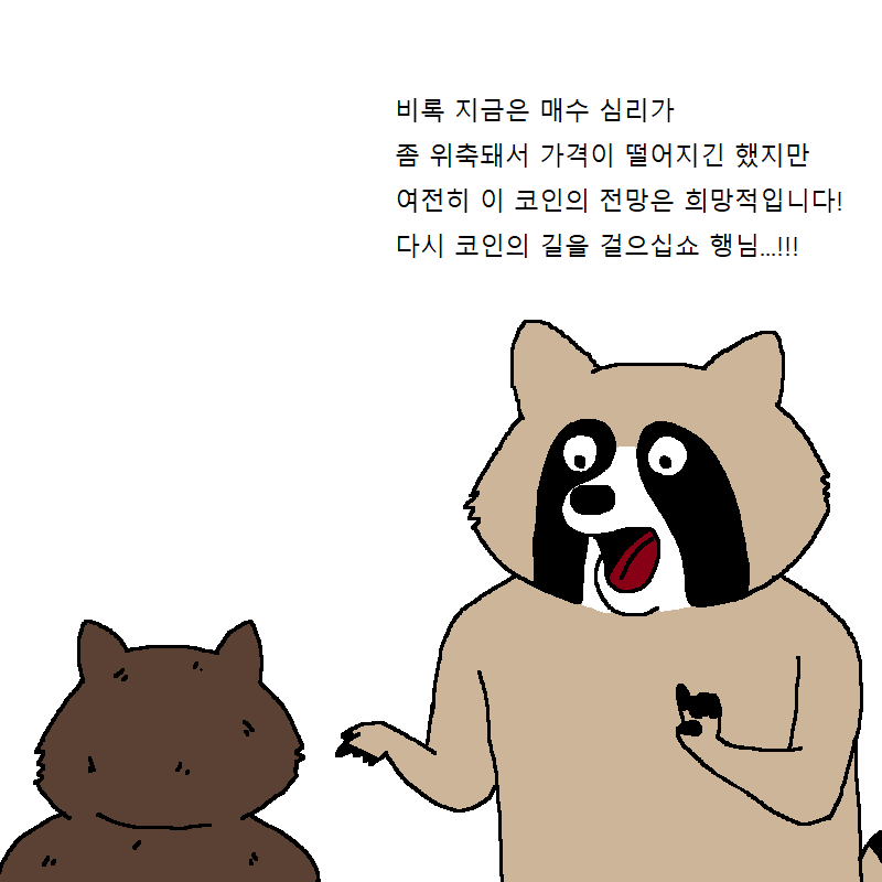 너구리가 코인 투자하는 만화