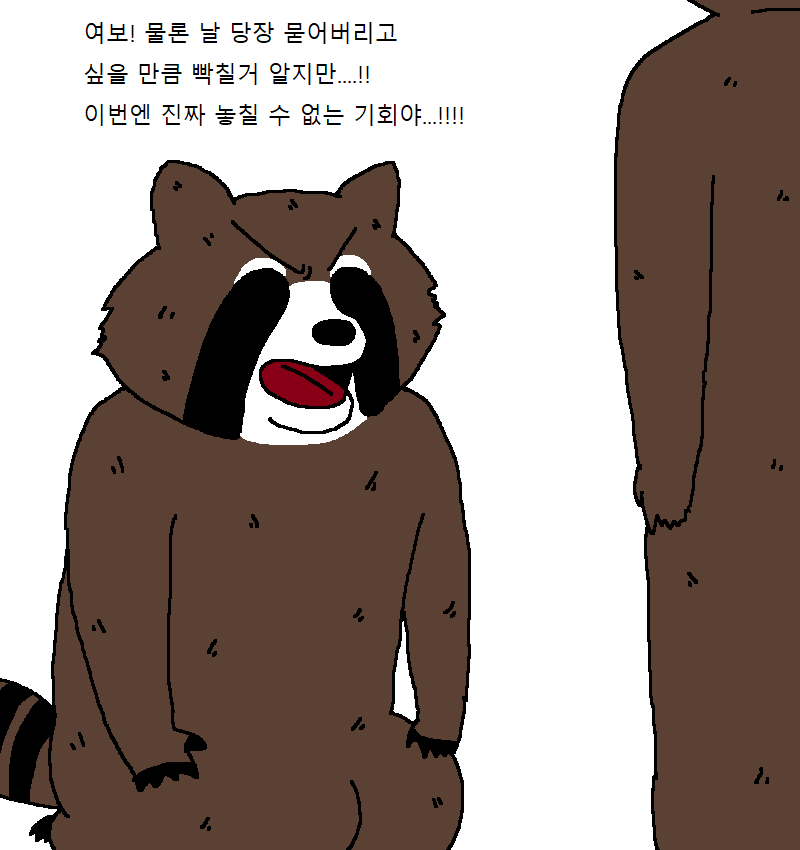 너구리가 코인 투자하는 만화