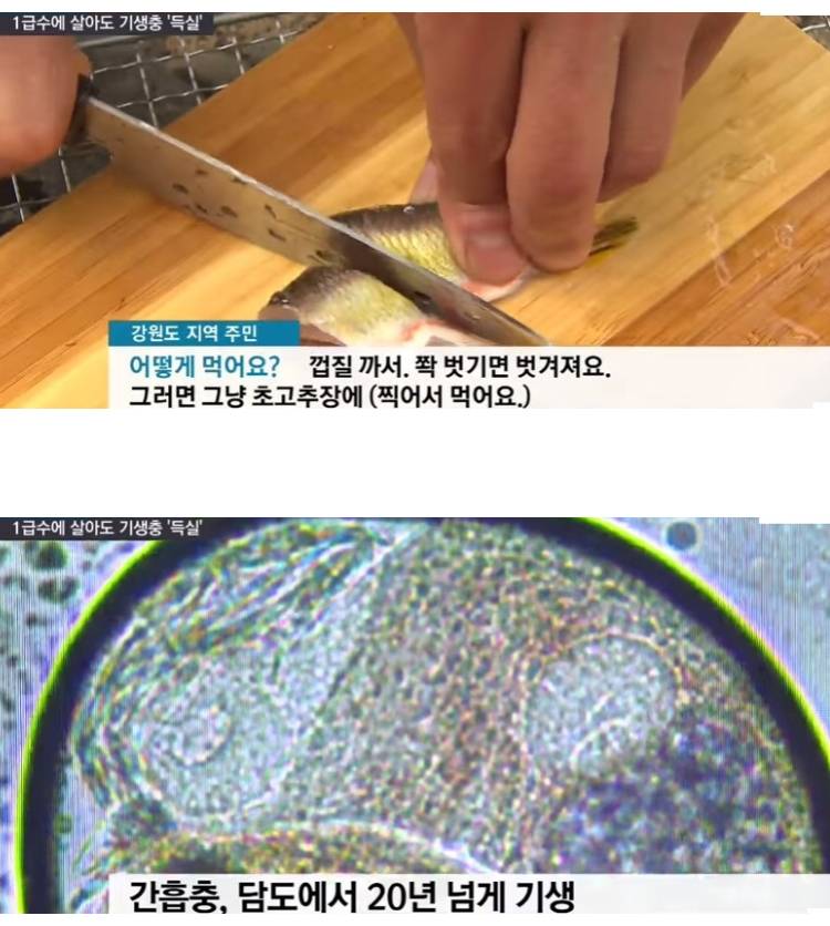 한국인 50만명 감염시대.