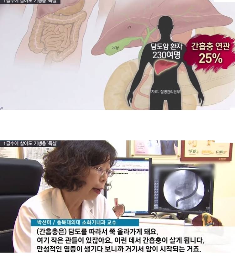 한국인 50만명 감염시대.