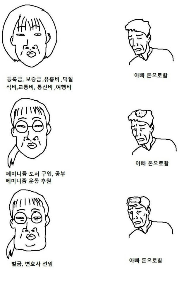 대한민국 페미의 모순