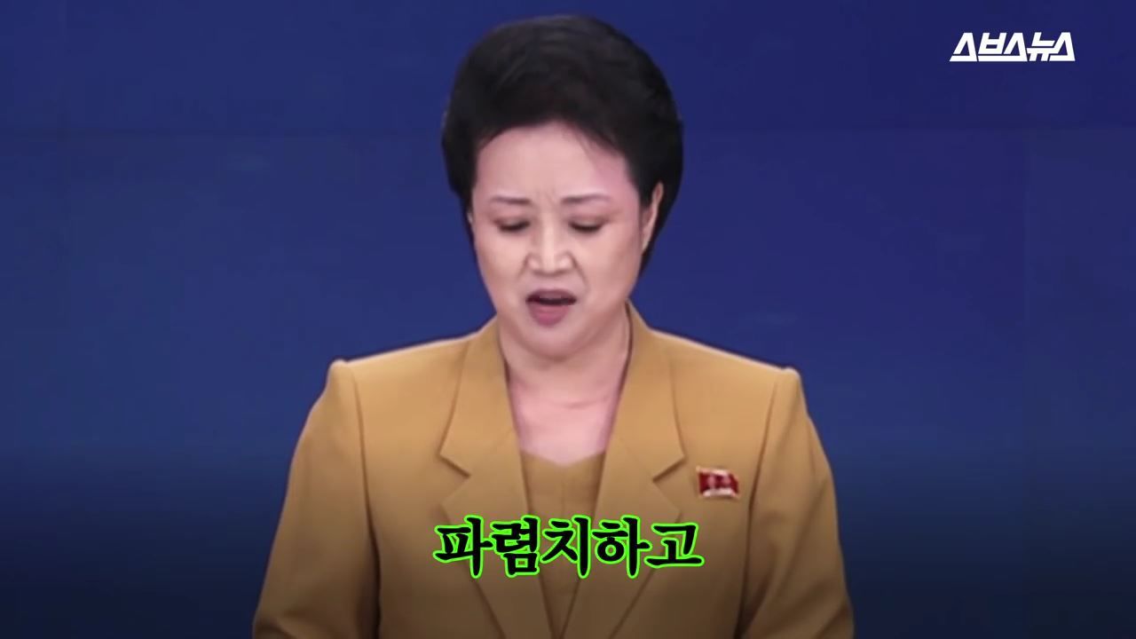 일본 뼈 때리는 북한의 어휘력 수준