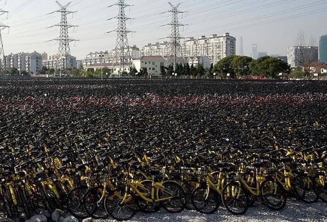 중국의 공공자전거 현황 ㄷㄷㄷ