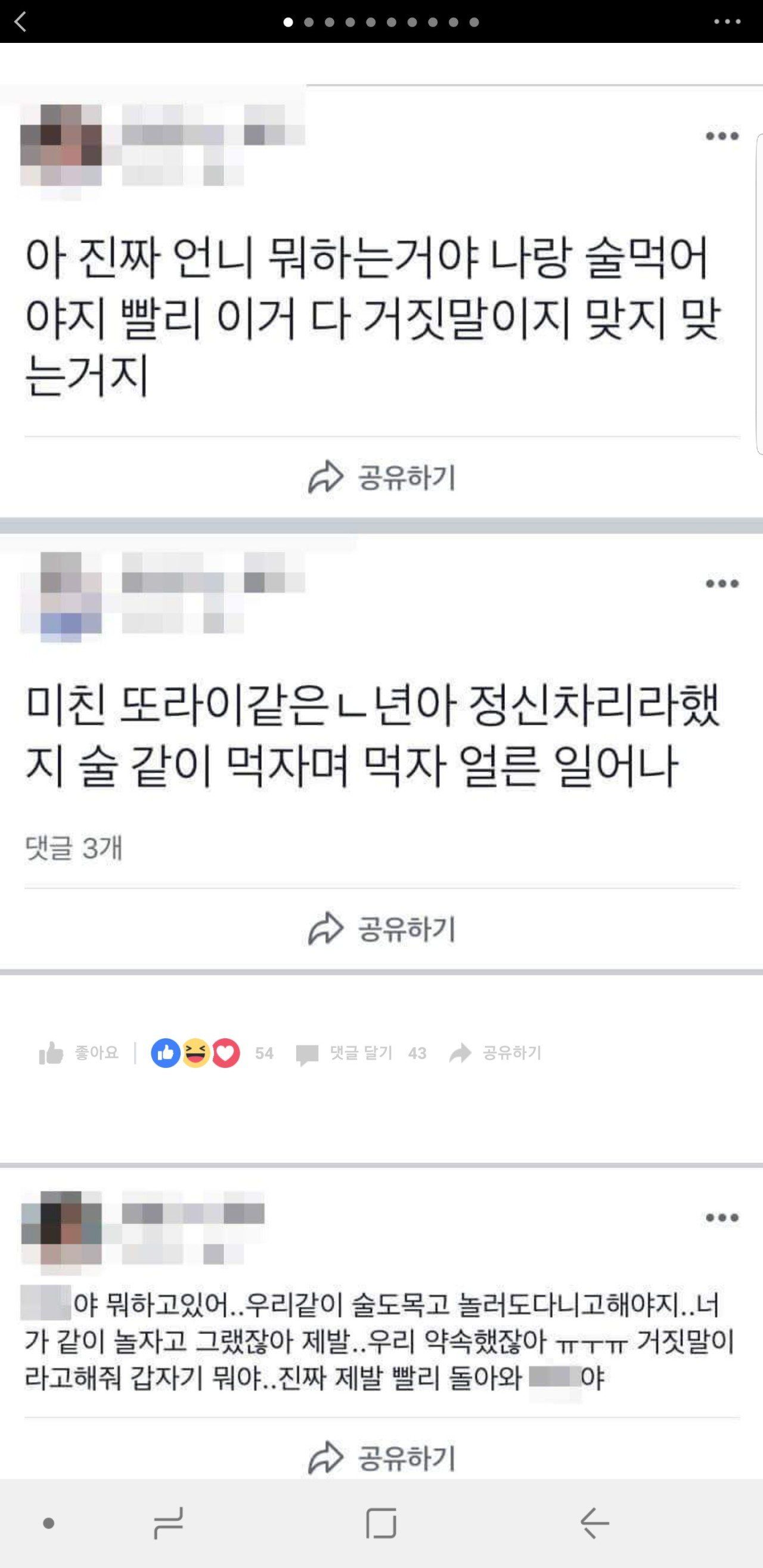 안성 여중생사망자의 동생들