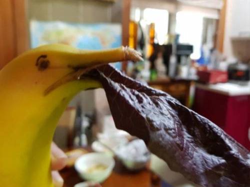 바나나를 다른 음식과 같이 두면 안되는 이유