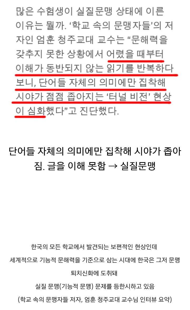 한국의 실질적 문맹률이 높은 이유