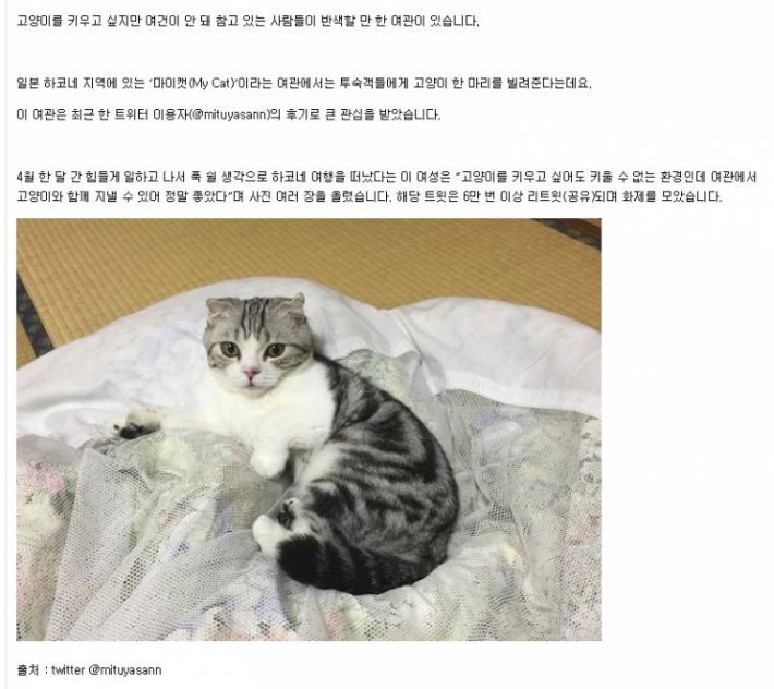 예약하면 고양이를 빌려주는 일본 여관