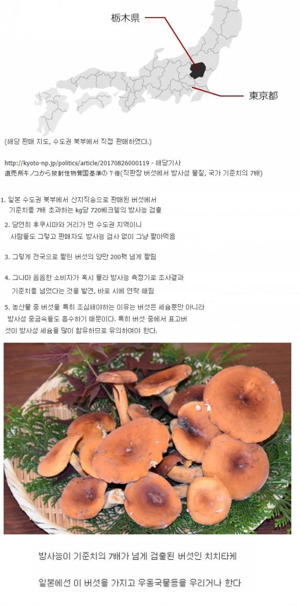 일본에서 버섯을 조심해야 되는 이유