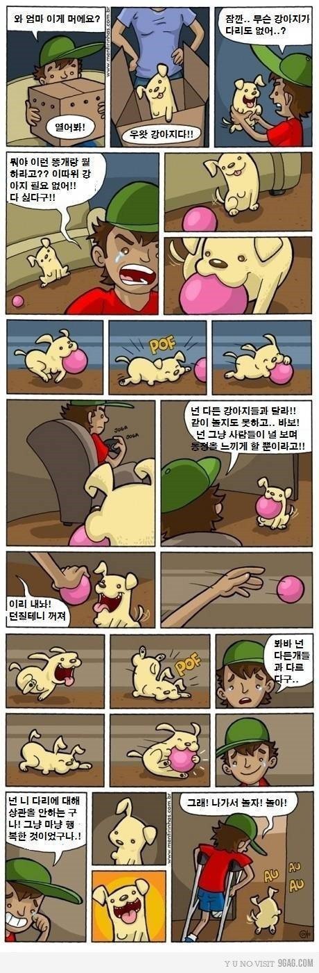 강아지 선물받고 화내는 아들