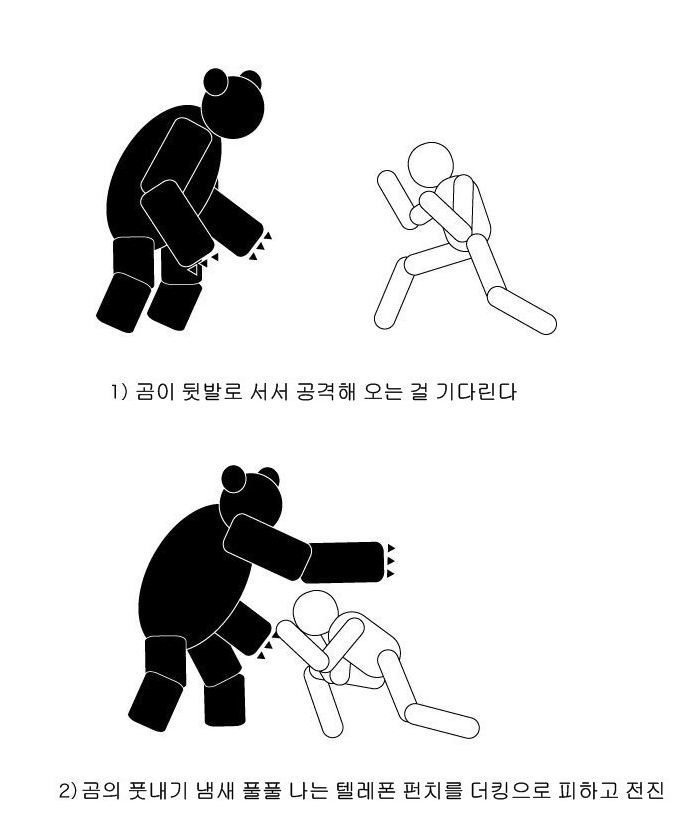 곰 VS 인간 이론과 실전