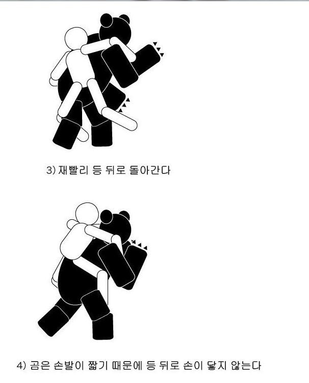 곰 VS 인간 이론과 실전