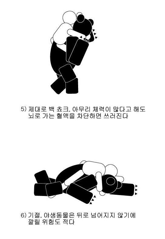 곰 VS 인간 이론과 실전