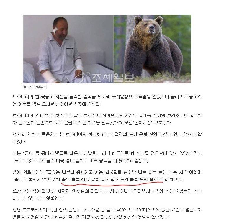 곰 VS 인간 이론과 실전