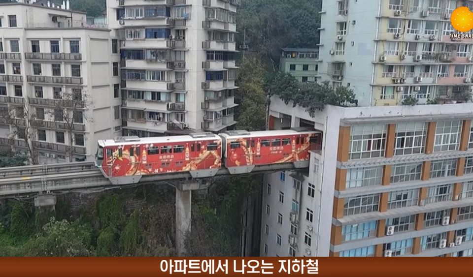 살면서 한번도 보기 어려운 신기한 장면들