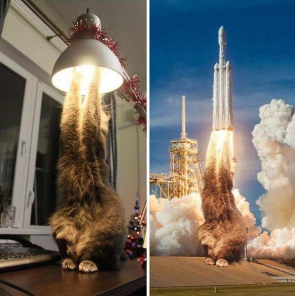 고양이 로켓 3..2...1............발사!!