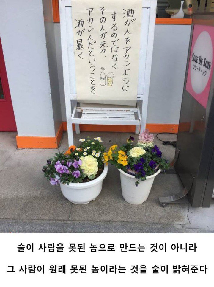 술에 관한 몇가지 명언.