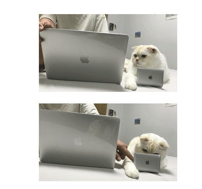 고양이 방해 방지용 노트북