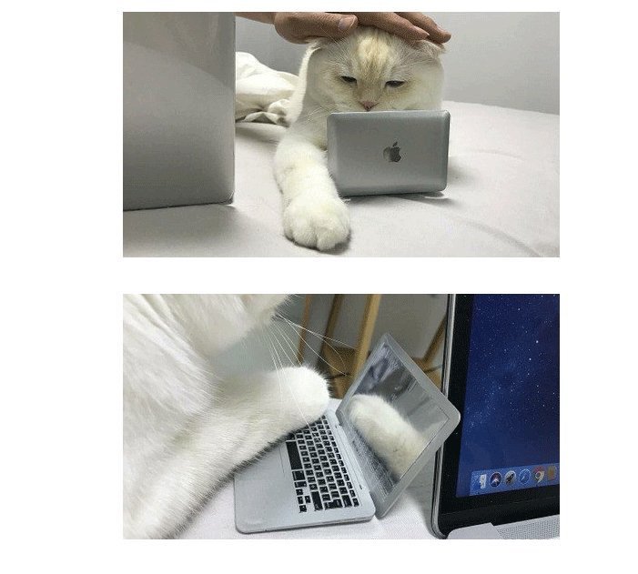 고양이 방해 방지용 노트북