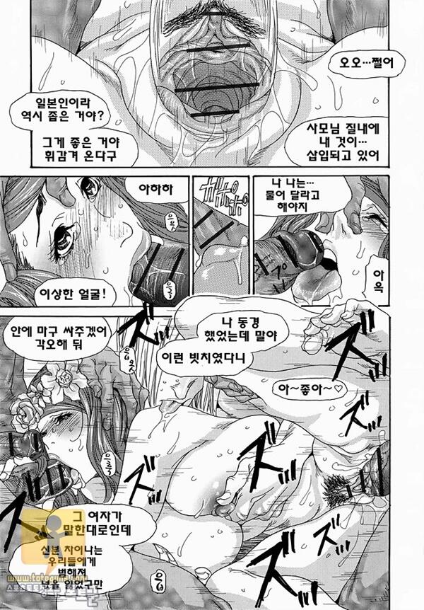 상업지 망가 메타모르 포제