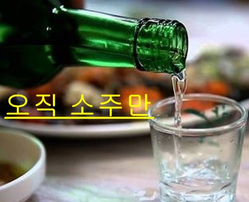 보기만 해도...미칠 것 같아요