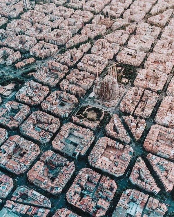 먹튀검증소 유머 1800년대에 만든 바르셀로나 도시계획 클라스