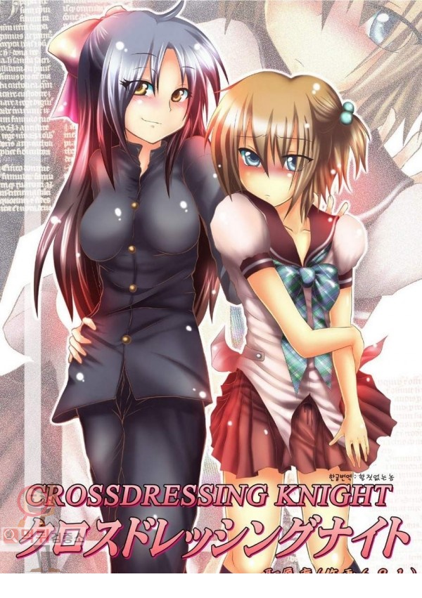 먹튀검증소 애니망가 Crossdressing Knight