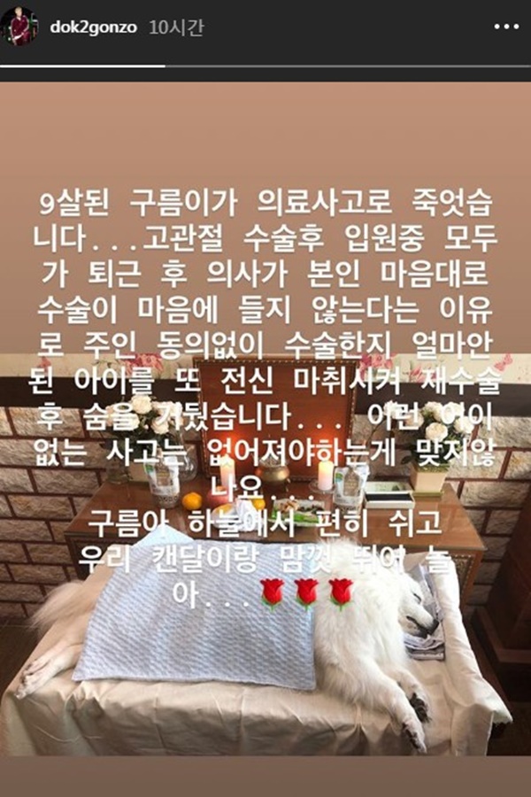 도끼 애완견 의료사고 폭로