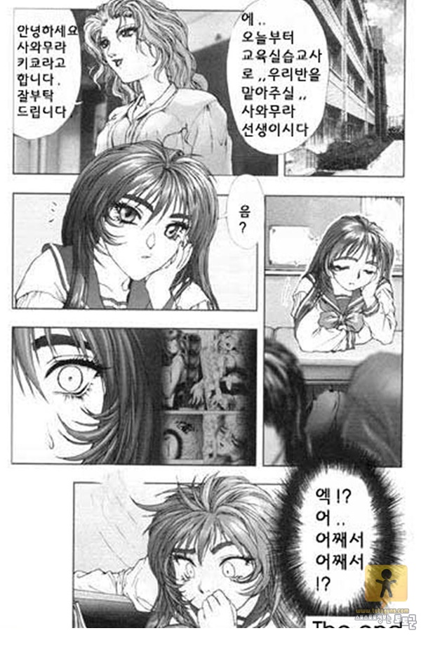 토토군 상업지망가 FLORA ComiX