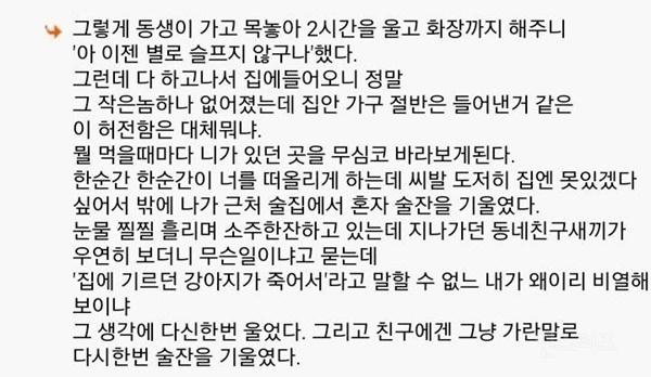 다시는 개를 키우지 않겠다