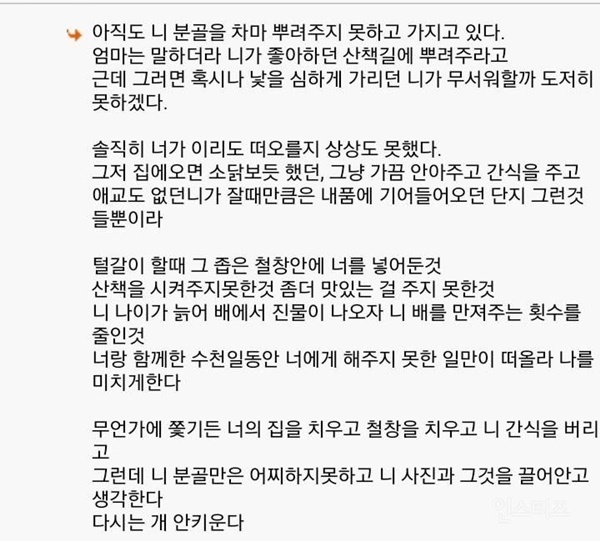 다시는 개를 키우지 않겠다