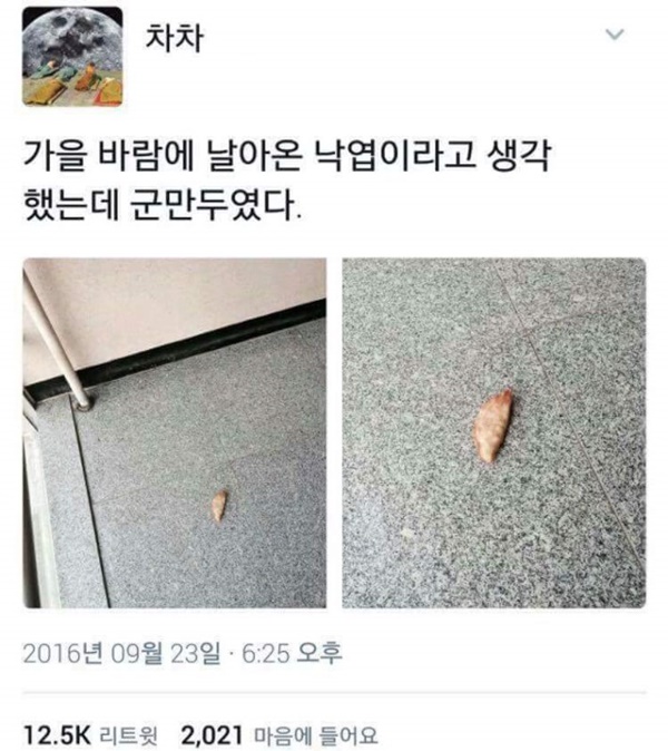 가을에 날아온 낙엽