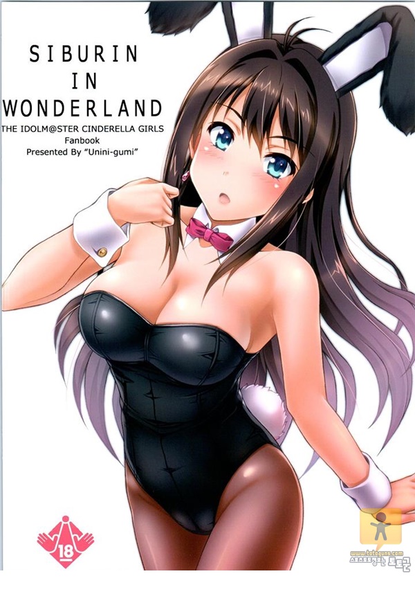 토토군 어른 애니망가 SIBURIN IN WONDERLAND