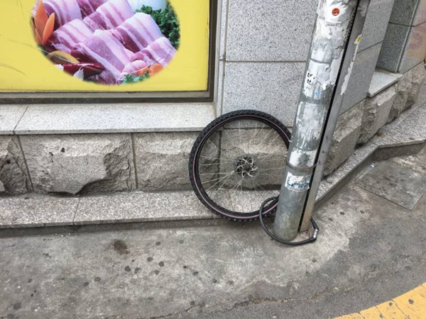 자전거 훔처감