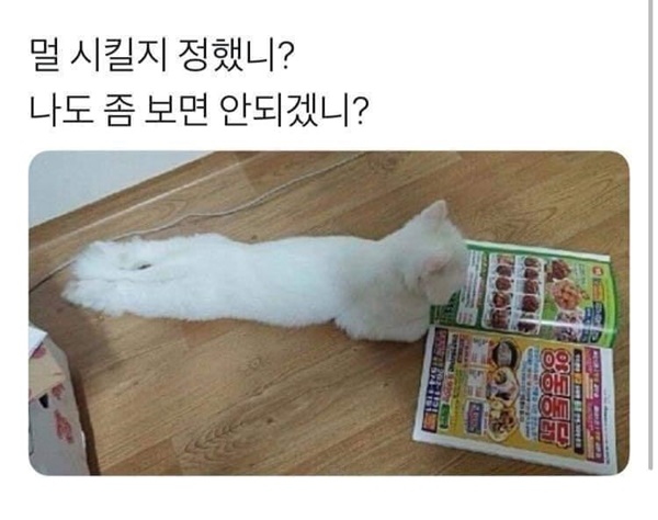 뭐먹지