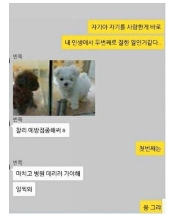 부부카톡 이상과 현실