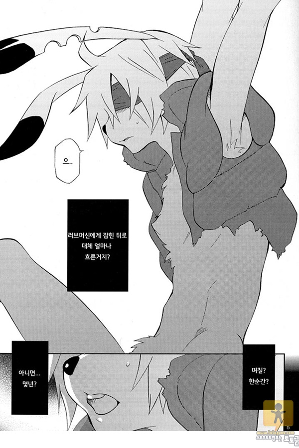 토토군 동인지망가 Sexual Rabbit 4