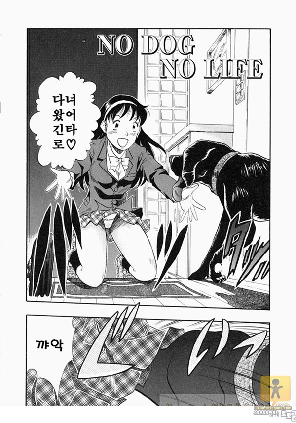 토토군 상업지망가 NO DOG NO LIFE1-2